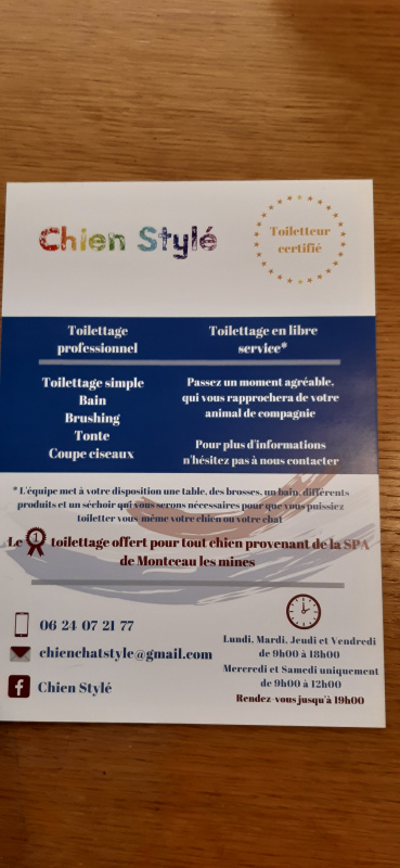 Chien Stylé