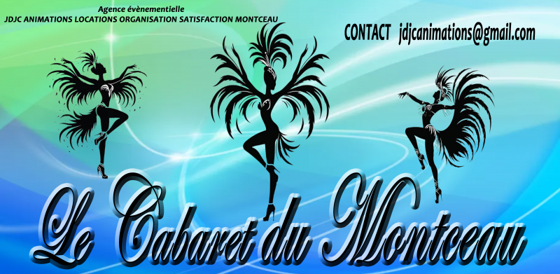 JDJC Animations Locations Organisation Satisfaction