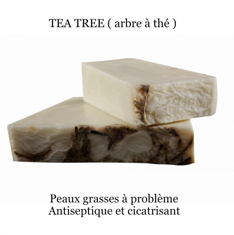 Savon Tea tree (arbre à thé)