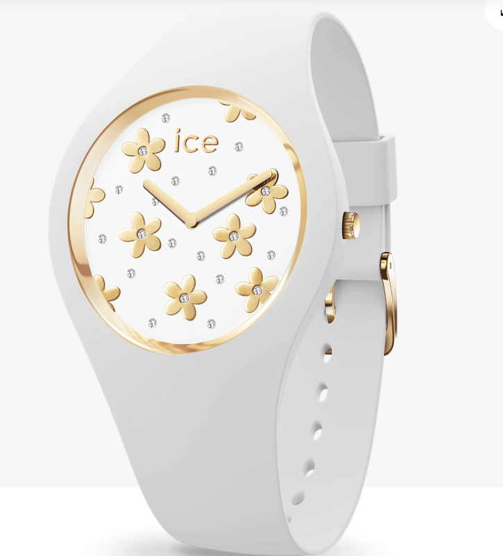 ICE WATCH