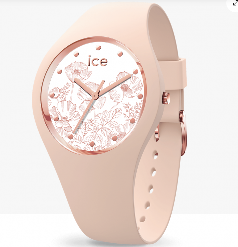 ICE WATCH