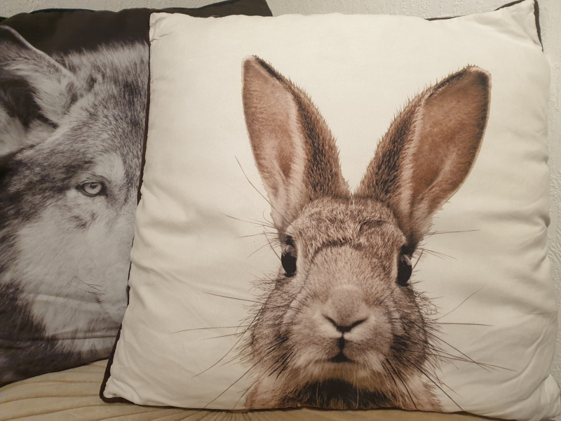 Coussin  suédine Lapin  COU022