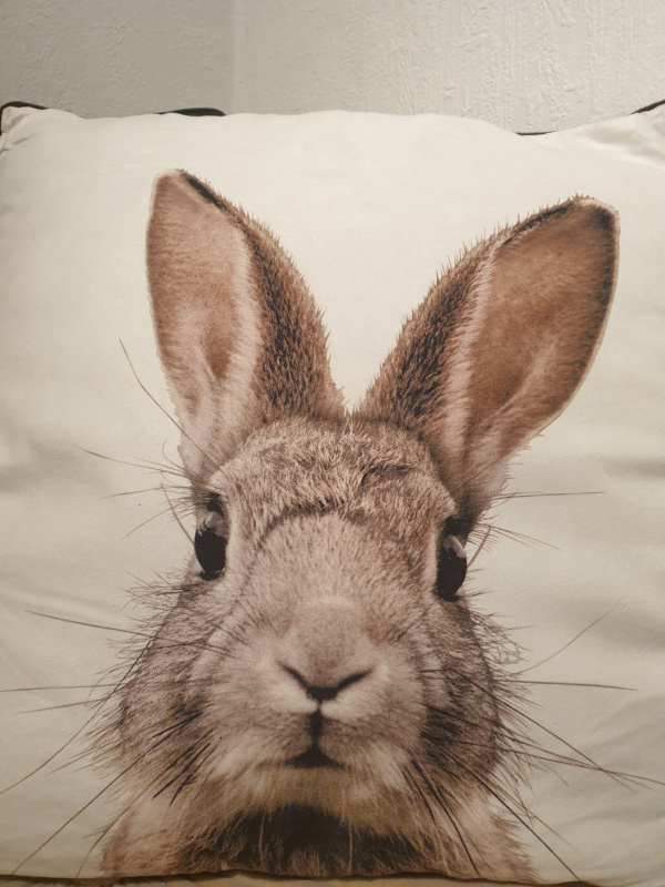 Coussin  suédine Lapin  COU022