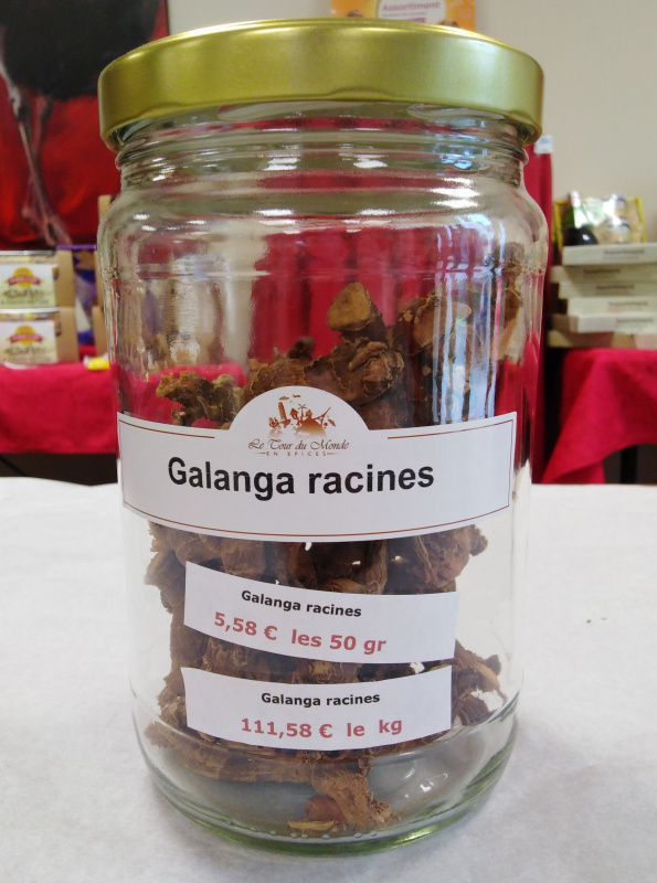 Épice - Galanga racines 40g (Le Tour du Monde en Épices)