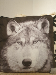 Coussin  suédine Loup fond noir  COU233