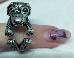 Bague chien