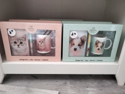 Box chat ou chien