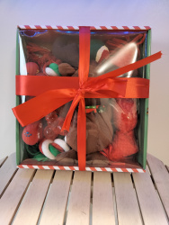 Box de noel pour chien