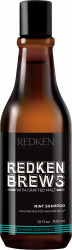 SHAMPOING MINT REDKEN BREWS