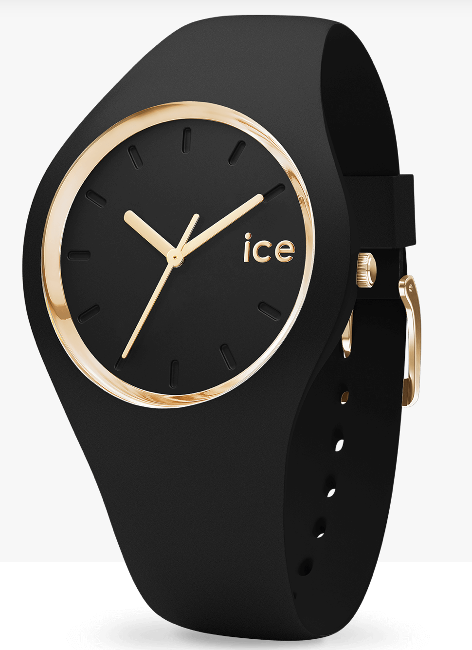 ICE WATCH