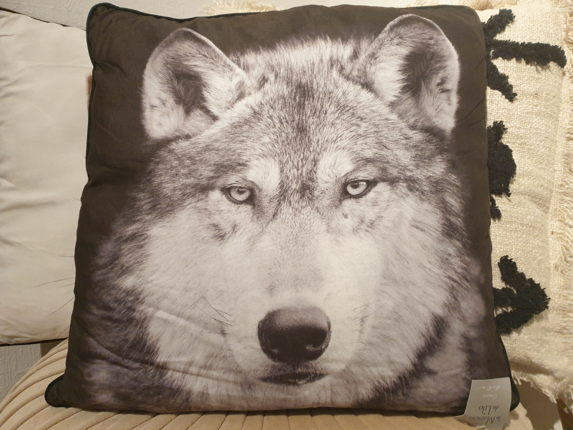 Coussin  suédine Loup fond noir  COU233